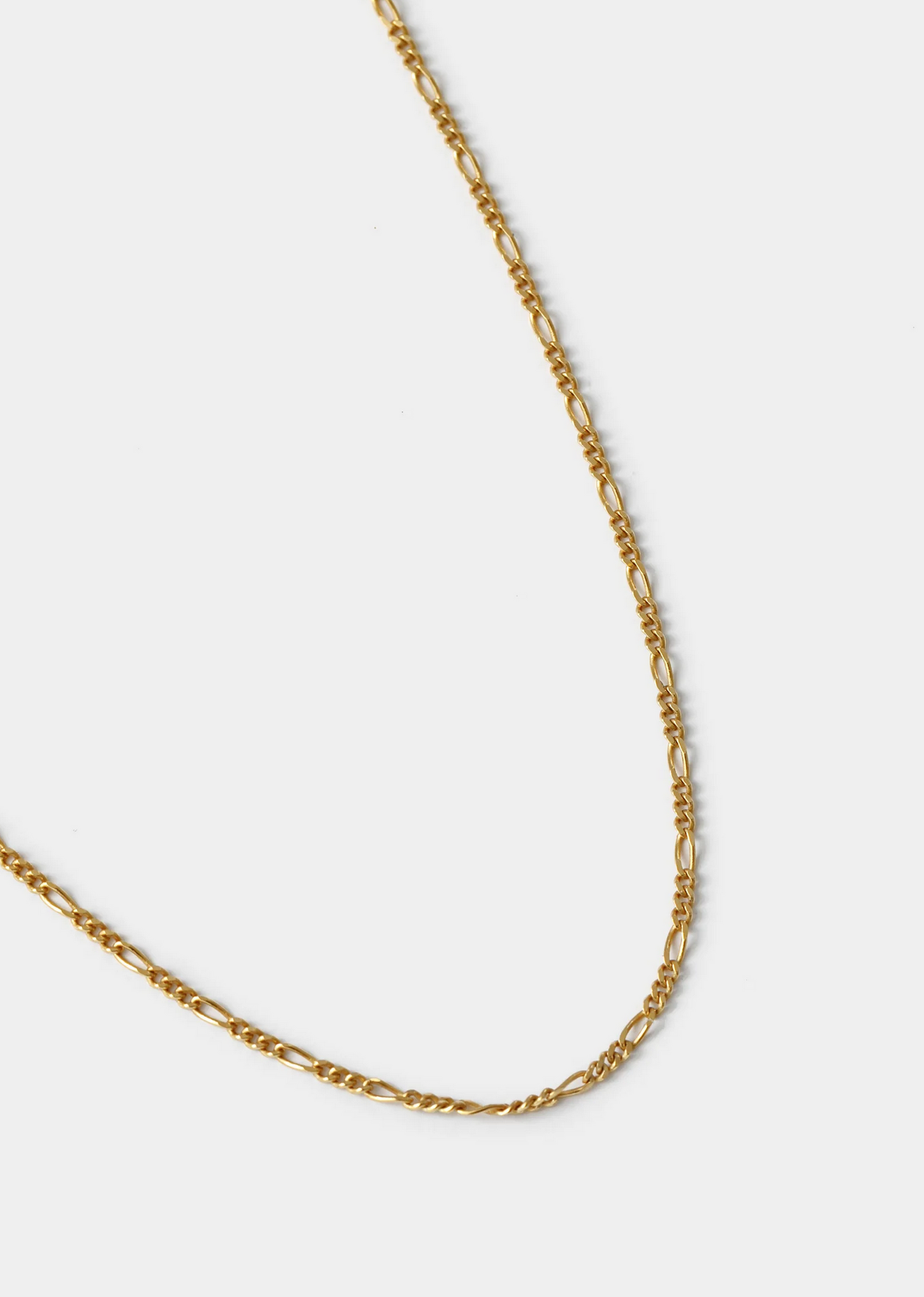 Wolf Circus | Figaro Chain - Gold