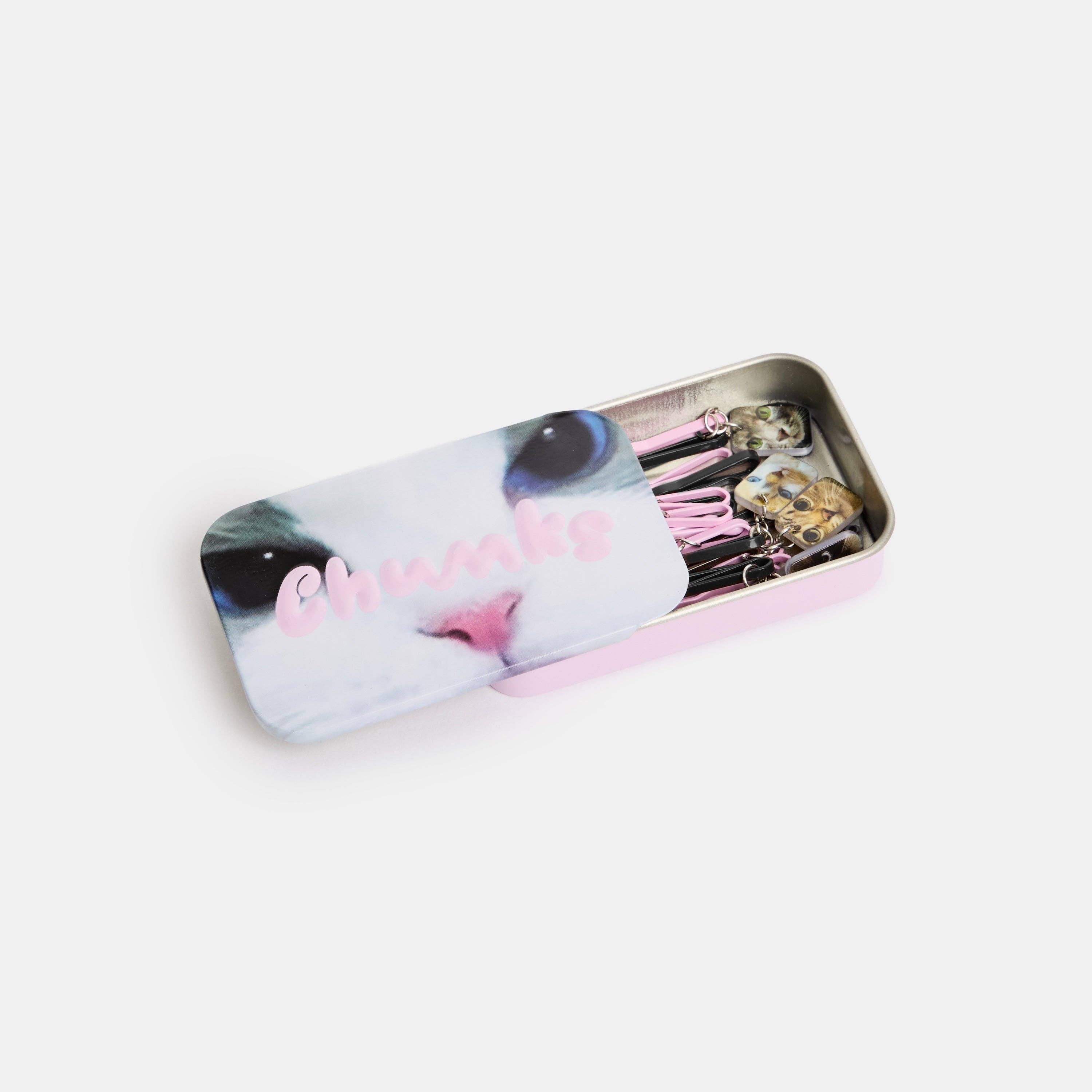 Chunks | Kitty Bobby Pins