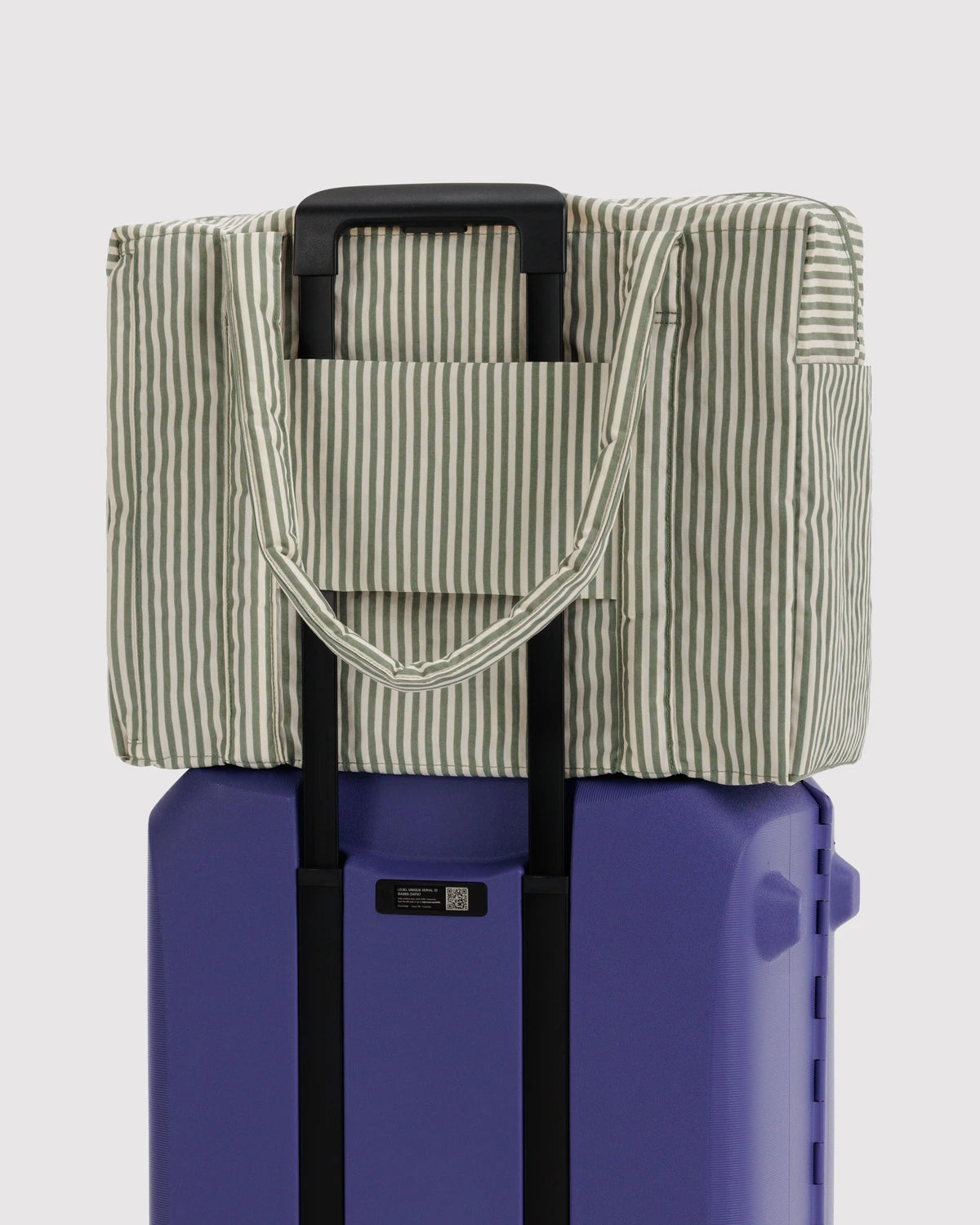 Baggu | Cloud Carry On - Sage Stripe