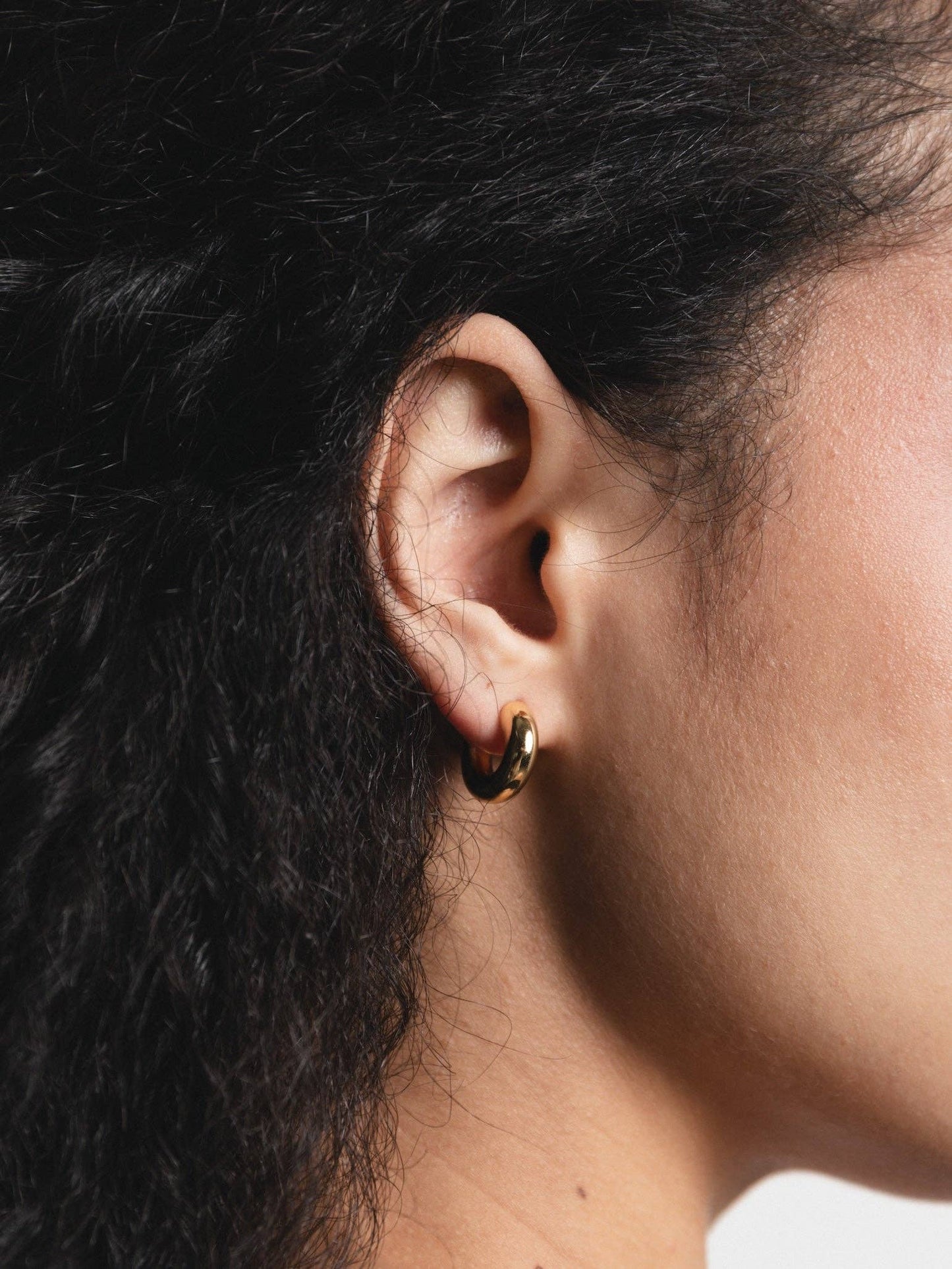 Wolf Circus | Classic Hoops in Gold
