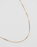 Wolf Circus | Box Chain - Gold