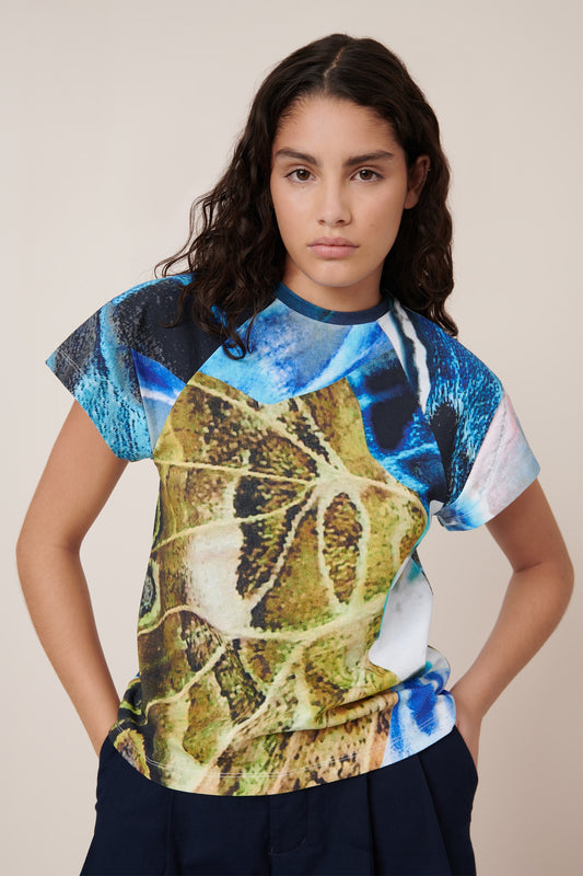 KOWTOW | Monarch Top
